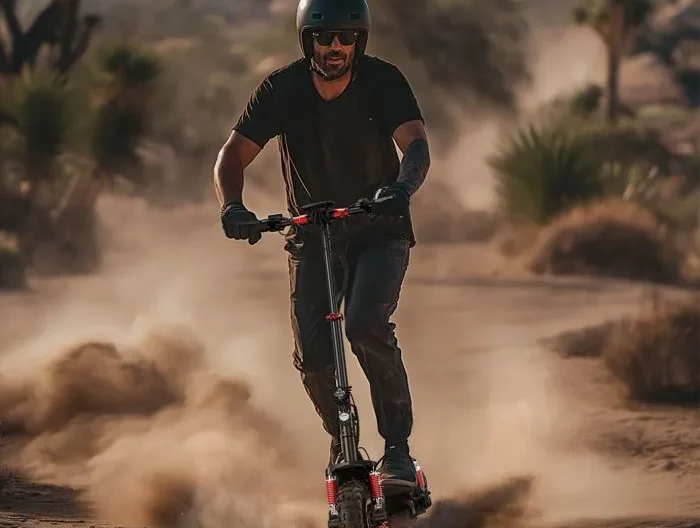 Trottinette Electrique iScooter ix6 11" 48V 1000W 150 kg Autonomie 65km 17.5Ah, avec Écran LCD et Sac pour Tout Te