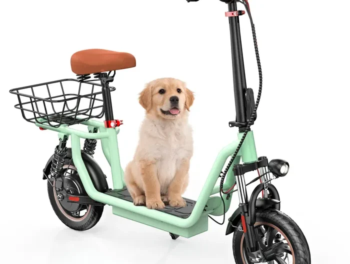 Trottinette Électrique iScooter Vert i12 avec Siège 500W Autonomie 30-35km 36V7.5Ah 12" Deux amortisseurs à l'avant et à l'arrière